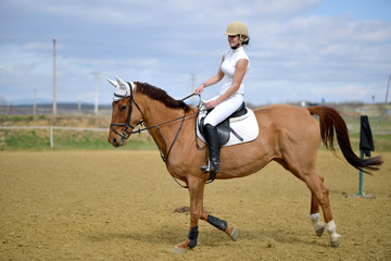 horse jumping