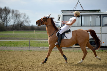 Belle jeune fille avec un cheval © muro
