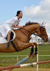 horse jumping