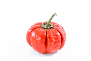 withered eggplant vegetable on white background