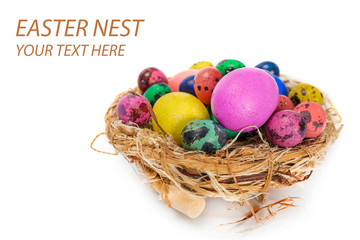 Easter eggs in the nest