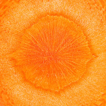 Carrot vegetable square frame texture