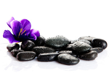 Obraz na płótnie Canvas Black massage stones isolated