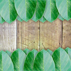 Green leaves on wood wall background