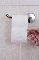 Toilet paper with hand