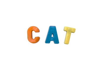 Letter magnets  CAT