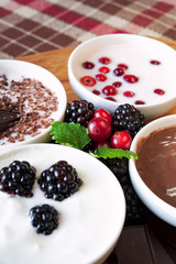 Sweet cream dessert with chocolate and berries in white porcelai