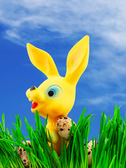 Easter bunny in the grass
