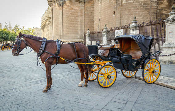 Black  horse and traditional tourist carriage in Sevilla