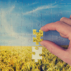The final piece of the puzzle
