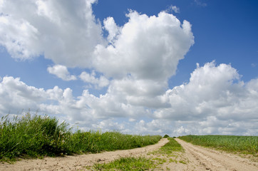 empty summer gravel road on farm field