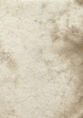 Fototapeta premium Old parchment paper texture