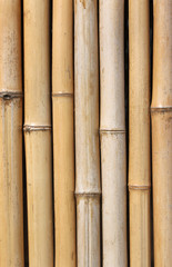 close up of bamboo wall
