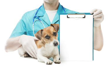 Vet and Dog with placard