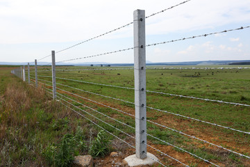 Cattle Fence on Farm