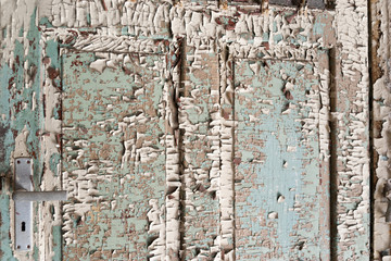 Old Door Texture