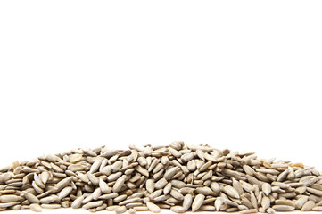 Pile of Sunflower Seeds