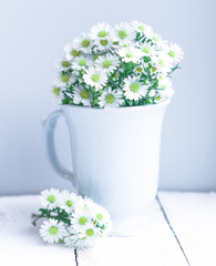 Daisies in white vase on wooden background