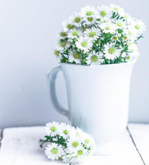 Daisies in white vase on wooden background