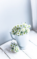 Daisies in white vase on wooden background