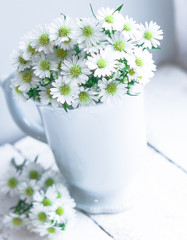 Daisies in white vase on wooden background