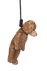 old teddy bear hanging on gibbet