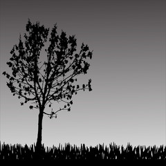 Obraz na płótnie Canvas Vector silhouette of tree.