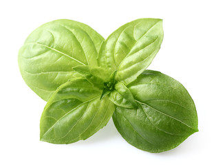 Basil spices