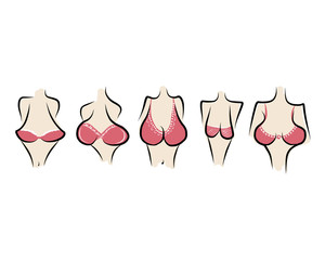 Female breast sketch for your design