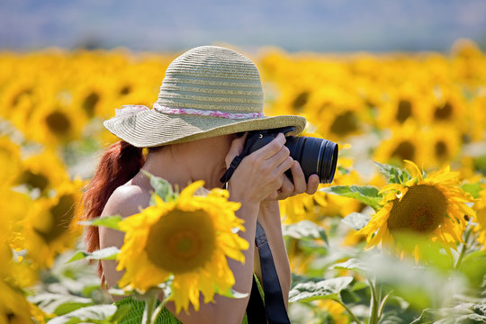 Young woman taking photos of sunflowers.