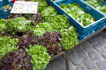 Salades en vente sur le marché