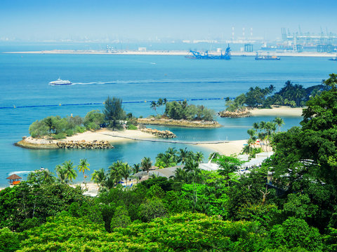 Landscape In Sentosa