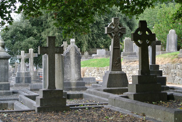 Fototapeta na wymiar Celtic Crosses Limerick Cemetery