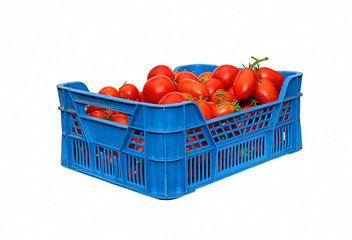 Red tomatoes in a plastic blue box isolated