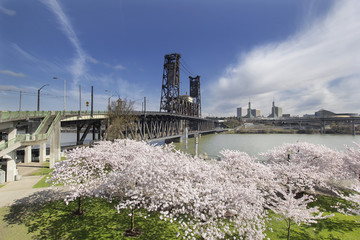 Obraz premium Cherry Blossoms at Portland Waterfront