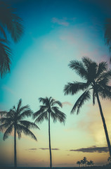 Fototapeta na wymiar Hawaje Retro Sunset Palm Trees