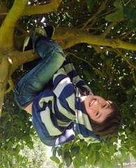Foto op Canvas Bambino sull'albero © Uncleraf
