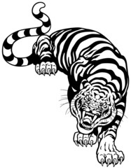 tiger black white