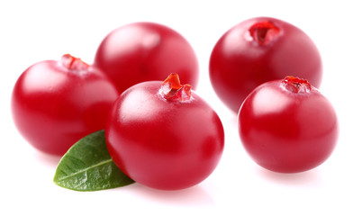 Cranberry in closeup