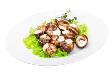 Escargot