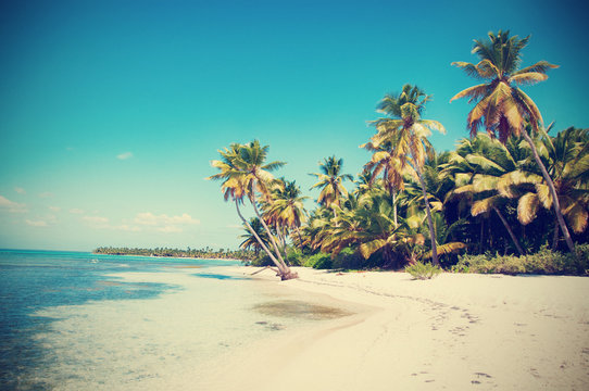 Beautiful white beach with tropical palm trees, Saona, Caribbean