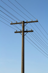 Old concrete electricity pylon in the countryside against the sk