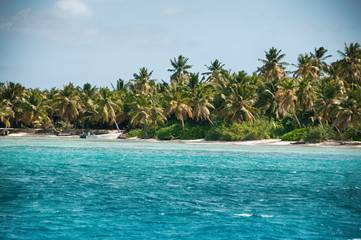 Fototapeta na wymiar Wonderful palm coastline of Saona Island, Caribbean