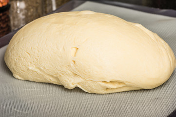 Ball of bread dough for making bread