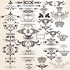 Collection of vector decorative elements for design