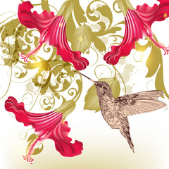 Floral  vector background  with humming bird and  flowers
