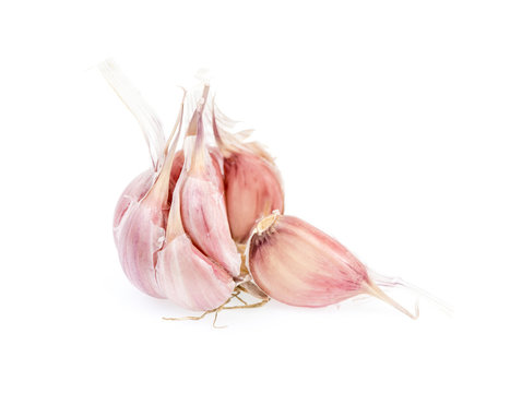 Garlic isolated on white.