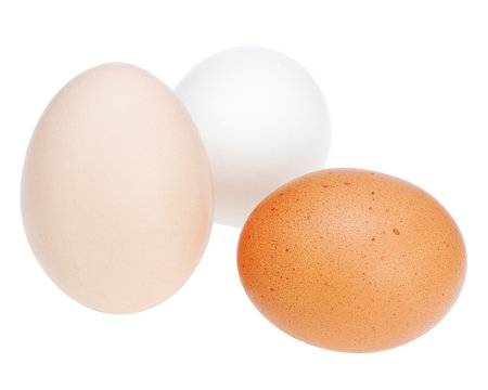Colorful chicken eggs.