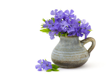 Beautiful spring flowers in a vase on white background