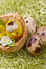 Easter decoration with chick and eggs 